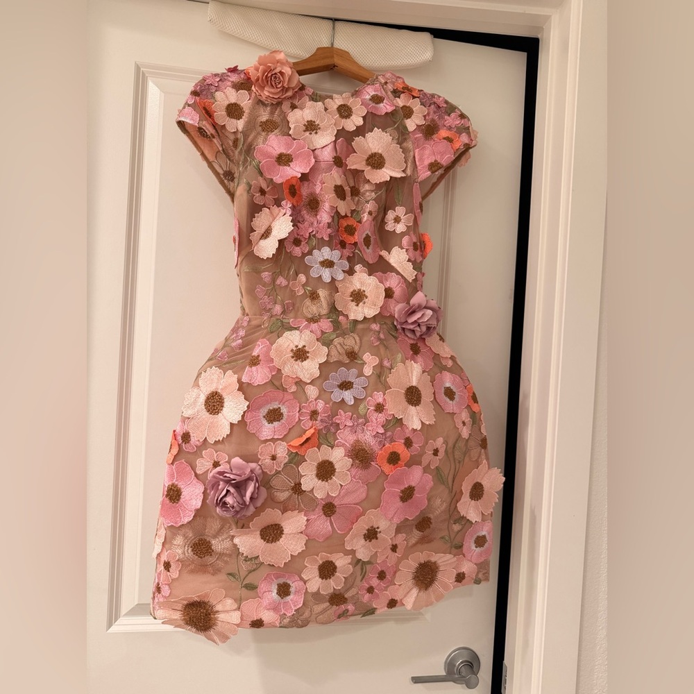 New Bronx and Banco Jasmine Embroidered Floral Applique Mini Dress - Picture 6 of 15